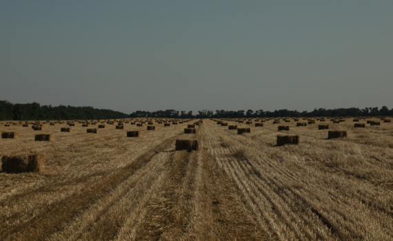 Молодые абитуриенты агроинститутов будут изучать беспилотные технологии и точное земледелие Молодые абитуриенты агроинститутов будут изучать беспилотные технологии и точное земледелие