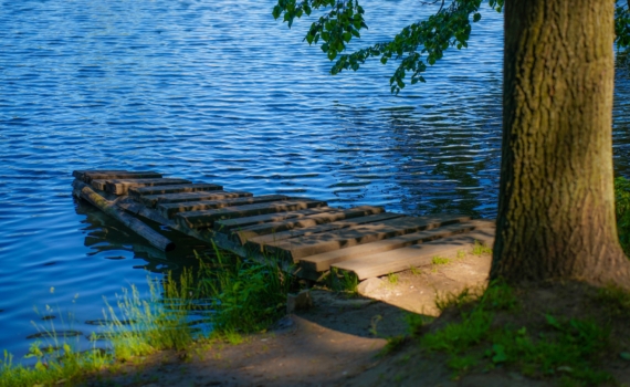 Южноуральский экокризис — результат многолетнего пренебрежения к природоохране Южноуральский экокризис — результат многолетнего пренебрежения к природоохране