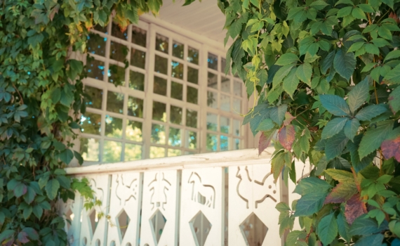 Крыльцо, которое хочется фотографировать: чего избегать, чтобы добиться эффекта – советы дизайнеров Крыльцо, которое хочется фотографировать: чего избегать, чтобы добиться эффекта – советы дизайнеров