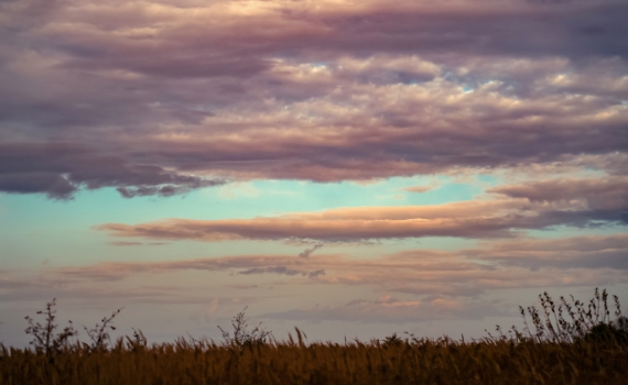 Магнитный шторм уже в пути: как пережить пик активности 4 декабря Магнитный шторм уже в пути: как пережить пик активности 4 декабря