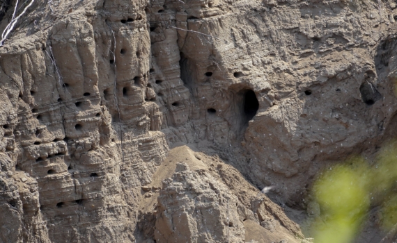 Лава взмыла почти на 500 метров: Килауэа снова напомнил о своей силе — что это за вулкан Лава взмыла почти на 500 метров: Килауэа снова напомнил о своей силе — что это за вулкан