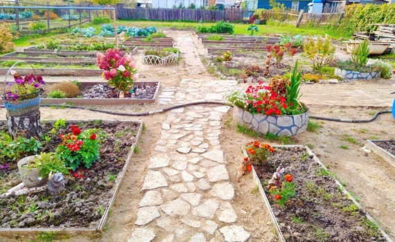 Отказалась от бордюрной ленты из пластика: границу клумбы сделала за 15 минут по примеру англичан Отказалась от бордюрной ленты из пластика: границу клумбы сделала за 15 минут по примеру англичан