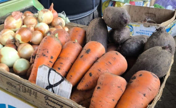 Вы удивитесь: эти дешёвые продукты могут облегчить работу печени — как скорректировать рацион Вы удивитесь: эти дешёвые продукты могут облегчить работу печени — как скорректировать рацион